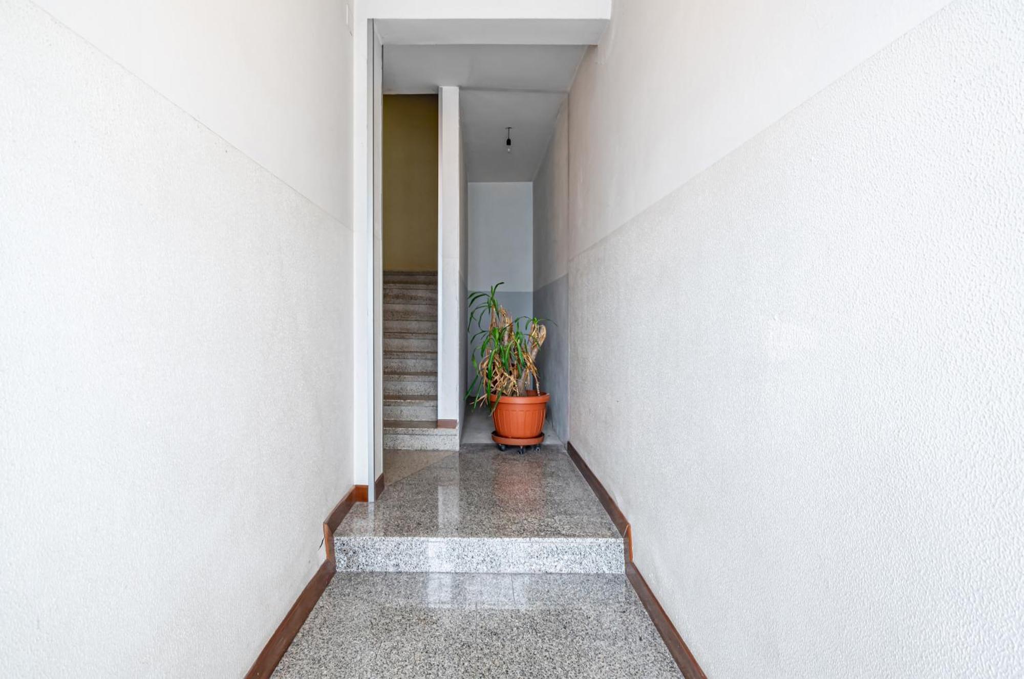 San Vincenzo Apartments 1 - 2 - 4 فيغونزا المظهر الخارجي الصورة